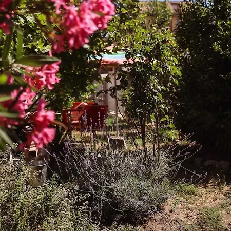 Apartmán La Casa Dell'artista - 3' Dal Mare Albinia